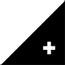 plus